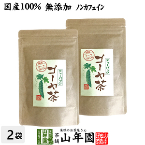 健康茶 国産100% 無農薬 ゴーヤ茶 ゴーヤー茶 宮崎県産 1.5g×20パック×2袋セット 送料無料