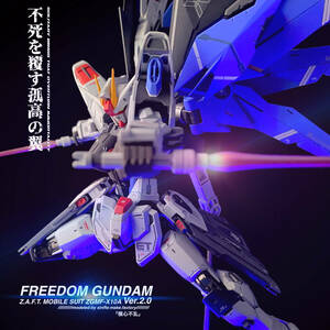 MG 1/100 FREEDOM GUNDAM Ver.2.0 改修塗装済み完成品 ガンダムSEED フリーダムガンダム 検( HG RG MG PG MGEX MGSD ガンプラ 完成品）