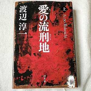 愛の流刑地〈上〉 単行本 渡辺 淳一 9784344011656