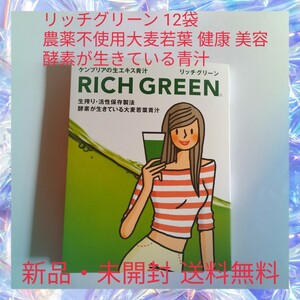 リッチグリーン 12袋 農薬不使用大麦若葉 健康 美容 酵素が生きている青汁 九州産大麦若葉100％使用 甘味料 着色料 保存料等の添加物不使用