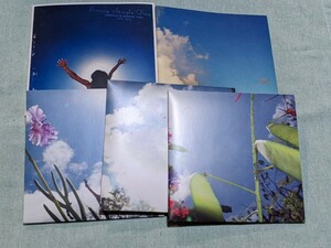 ★BONNIE PINK COMPLETE(1995-2006)★EVERY SINGLE DAY/２CD+DVD/ボニーピンク/