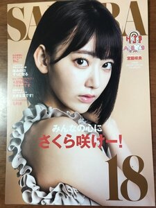 宮脇咲良　高柳明音　両面　A4サイズ　AKB48グループ　オフィシャルカレンダー2018 バラ売り　硬貨ケース付き　HKT48 アイズワン　SKE48