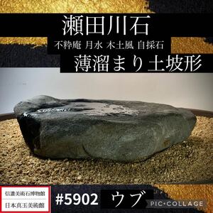 【水石ルネサンスフェア】水石 盆栽 瀬田川石 薄溜まり石 土坡形 ウブ 横33(cm) 3.9kg骨董盆石古美術鑑賞石観賞石太湖石中国古玩 5902