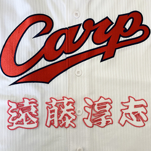 【メール便送料無料】広島 カープ 刺繍ワッペン 遠藤 名前 白 /遠藤淳志/carp/応援/刺繍/ユニホーム