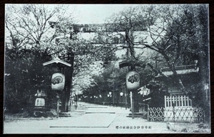 5077☆☆絵葉書・戦前・岐阜伊奈波神社神社の桜・絵はがき☆