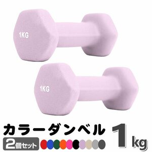 未使用 ダンベル 1kg 2個セットカラーダンベル 鉄アレイ ダンベル コンパクト おしゃれ かわいい カラフルダンベル エクササイズ 筋トレ