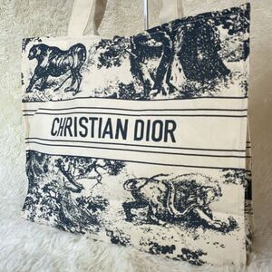 1円 新品未使用 Christain Dior クリスチャン ディオール トワル ドゥ ジュイ トートバッグ ブックトート ミディアム ネイビー 