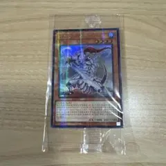 遊戯王 YCSC 中国広州限定 相剣 決闘 カード