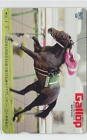 0-d842 競馬 Gallop サクラプレジデント 札幌2歳S クオカード