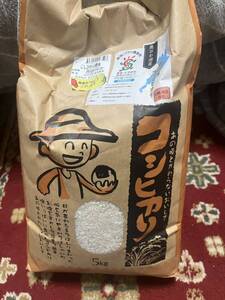 近江米 コシヒカリ 5kg