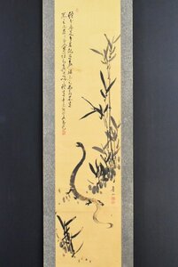 K4580 模写 普山「蛇」紙本 合箱 巳 ヘビ 日本画 中国 掛け軸 掛軸 茶掛 古美術 人が書いたもの