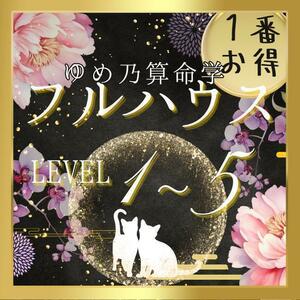 【￥9,700引】ゆめ乃算命学「フルハウス」　レベル１～５