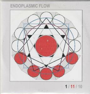 1/11/10-ENDOPLASMIC FLOW-CDrPrivate-CD-r,USED,Krautrock（Kluster系）, Abstract, Experimental,2012-UK,匿名配送可】