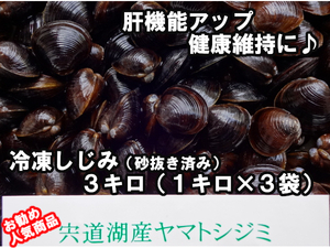 ☆贈答品にも レシピ付き　大人気　島根県宍道湖産　大和しじみ（砂抜き済み）　M　３キロ（１キロ×３袋）　　生冷凍