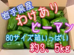 【訳あり】ピーマン  80サイズ箱いっぱい　約3、5kg