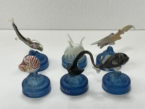 海洋堂 深海生物フィギュア ドリンク「MIU」キャンペーン 松村しのぶ