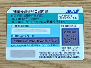 ANA 全日本空輸 株主優待券 2025年11月30日搭乗分まで 1枚