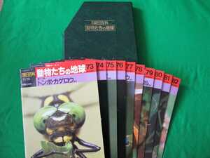 ★週刊朝日百貨★動物たちの地球★第３巻〈昆虫〉73～82・ケース付き10冊セット★