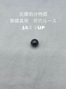 在庫処分特価　黒蝶真珠　片穴ルース　14ミリUP 040