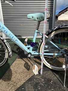 子ども　自転車　22インチ