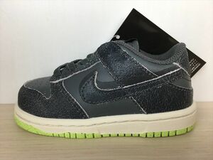 NIKE（ナイキ） DUNK LOW SE TDE（ダンクLOW SE TDE） DQ6217-001 スニーカー 靴 ベビーシューズ 13,0cm 新品 (1487)