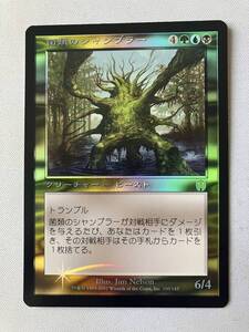 ★Foil 菌類のシャンブラー/Fungal Shambler 英語★