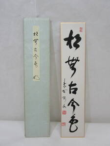 【風流庵】 『真作保証』 大徳寺・松長剛山師筆　★ 『松無古今色』五字 短冊　紙タトウ