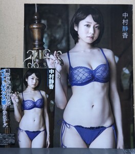 中村静香 切り抜き A4 A6 2P