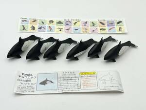 〓FURUTA フルタ〓チョコエッグ 日本の動物 第4弾 イシイルカ 大量処分 6点まとめ売り @食玩 フィギュア 海洋堂