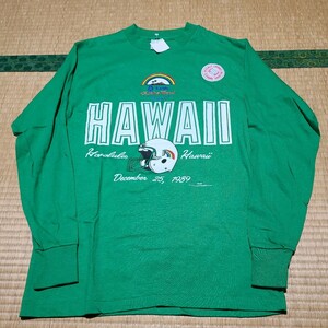 80s USA製 ハワイ大学 レインボー ウォリアーズ ロング Tシャツ サイズM アメフト Hawaii カレッジ