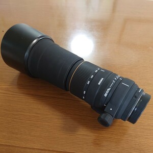 SIGMA 170-500mm 1:5-6.3 APO DG Kマウント