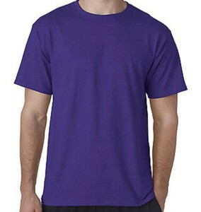 【M】CHAMPION チャンピオン 半袖Tシャツ T425 5.2オンス PURPLE