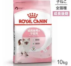 ロイヤルカナン キトン 猫用 10kg (猫・キャット)