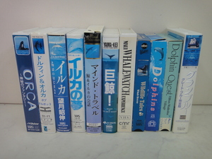 4852 ■ イルカ　クジラ　オルカ　VHS 10本セット＋『Grand Bleu』　Dolphin Orca Whale ■