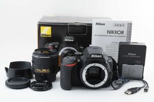 #s130★美品★ Nikon ニコン D5500 18-55mm VR II レンズキット
