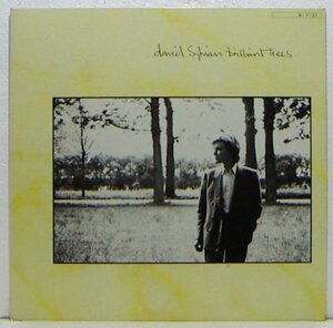 LP,デヴィッドシルビアン　DAVID SYLVIAN　BRILLIANT TREES