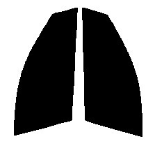 ダークスモーク　１３％　運転席、助手席　アコード　セダン　CL　カット済みフィルム　国産