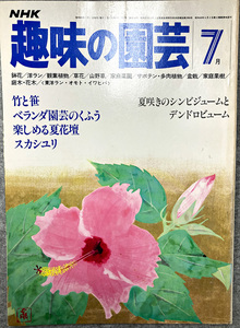 NHK 趣味の園芸 昭和55年 7月 竹と笹 ベランダ園芸の工夫 ガーデニング 盆栽 花壇 菜園