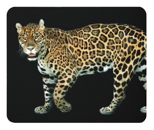 ジャガーのマウスパッド：フォトパッド （世界の野生動物シリーズ）