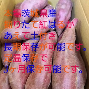 M&Lサイズ特A級品5㌔重量おまけ付R6年紅はるか茨城土付減農薬栽培さつまいも