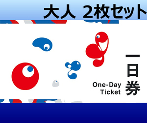 大阪 関西万博 入場チケット 一日券 ペア 大人2枚セット EXPO 2025