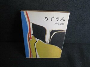 みずうみ　川端康成　シミ大・日焼け強/RFR