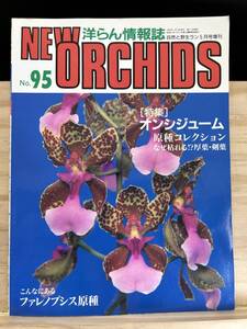 ◆(40525)趣味の洋ラン　ニューオーキッド　No.95 1999年5月