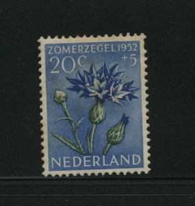 K) オランダ 1953 Netherlands SC#B242 未使用 