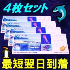 【最短翌日】４枚★新江ノ島水族館招待券～12/31迄