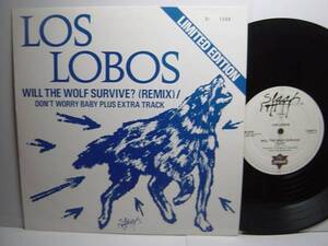 LOS LOBOS 限定 REMIX 10ep DON’T WORRY BABY ロカビリー