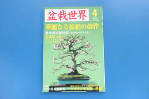 盆栽世界/2003年4月号/永久保存版/特集:華麗なる松柏の改作/東北真柏創世記 舎利削りの原点/五葉松 九重/国風盆栽展/ツルウメモドキの整姿