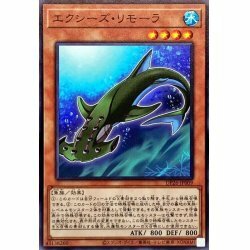 ☆新品未使用☆遊戯王　エクシーズリモーラ　DP26-JP009・ノーマル・1枚