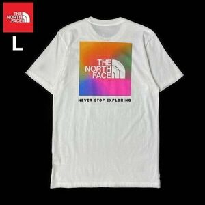 1円～!売切!【正規新品】THE NORTH FACE SHORT-SLEEVE BOX NSE TEE 半袖 Tシャツ US限定 ボックスロゴ レインボー 男女兼用(L)白 180902-15