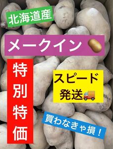 【数量限定】北海道産 厚沢部産 メークイン Sサイズ 約9.5kg